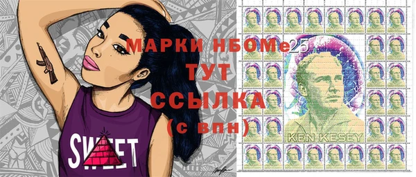 гашик Богородицк