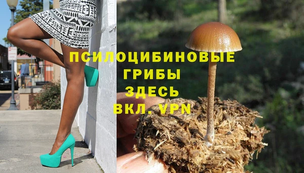 Альфа ПВП Михайлов