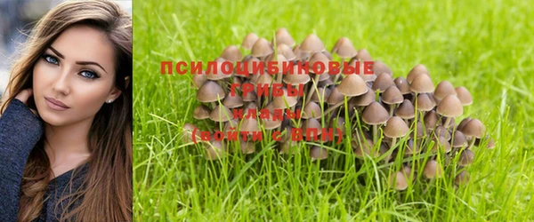 СК Алагир