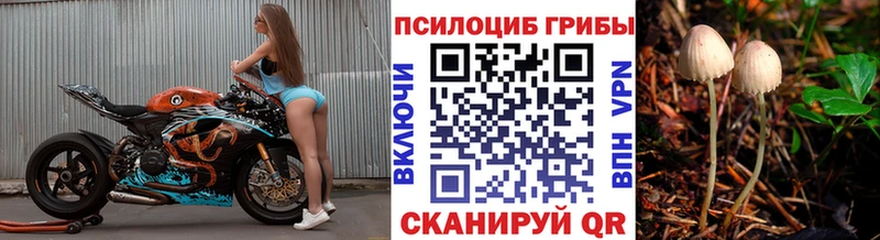 Псилоцибиновые грибы мухоморы  mega ссылка  Буй 