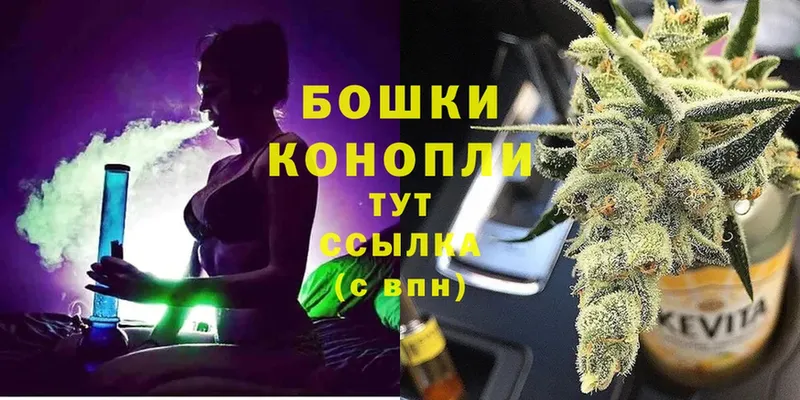 Каннабис OG Kush  Буй 