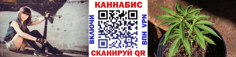 Бошки Шишки план  даркнет сайт  Буй 